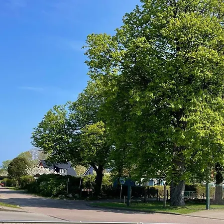 Reethaus Niedlich Nyaraló